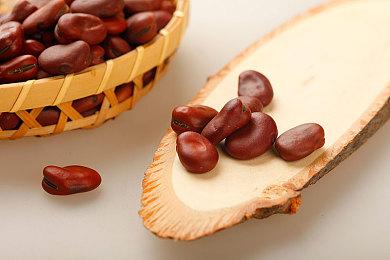 卡牌战略 RPG《三重幻想》预告将于 7 月推出 Steam 版本提供跨平台服务